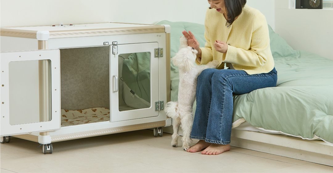 A pet parent playing with her Maltese beside a Tailody Pet Dresser house