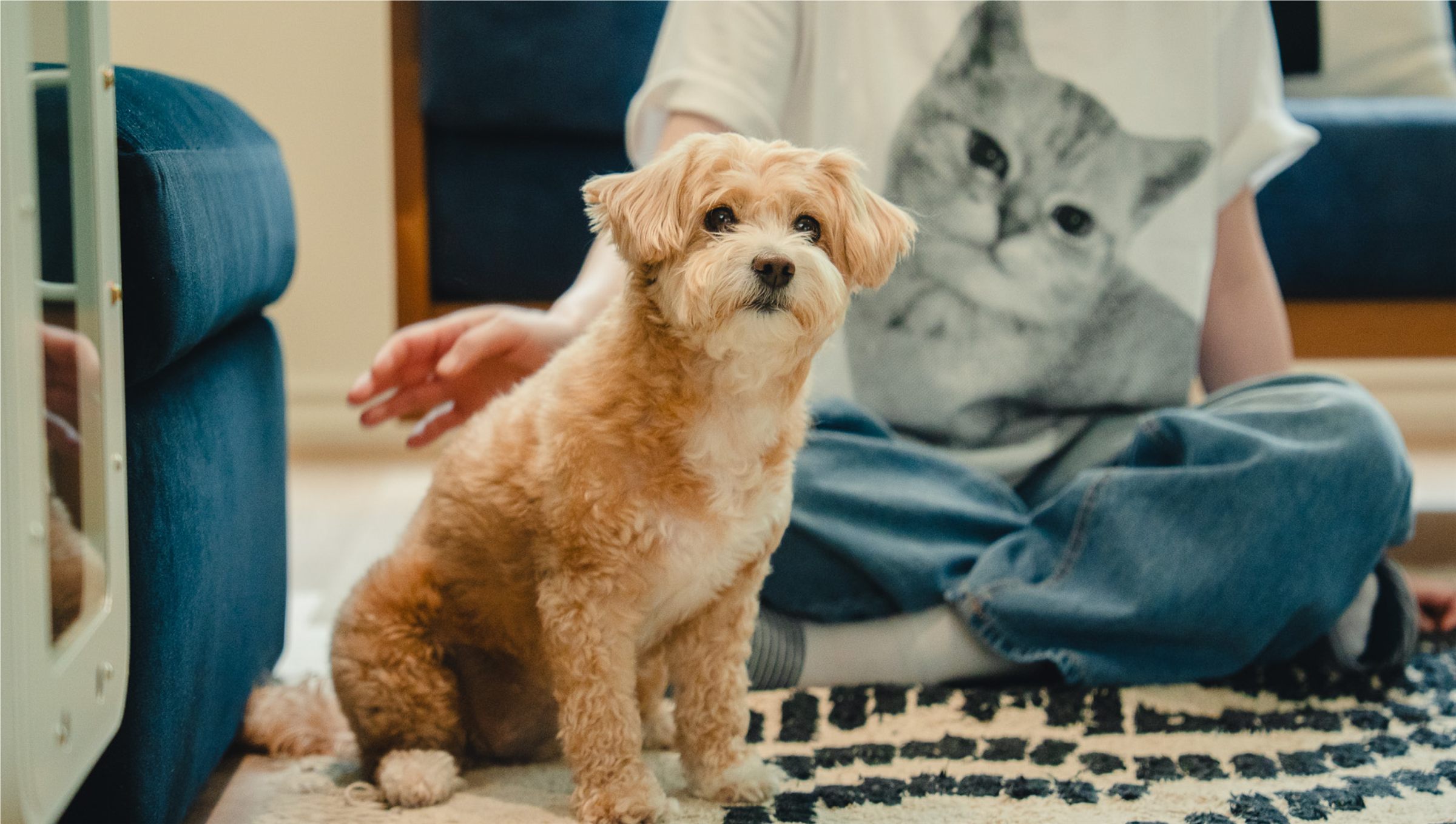 A small dog beside its owner in front of a Tailody house